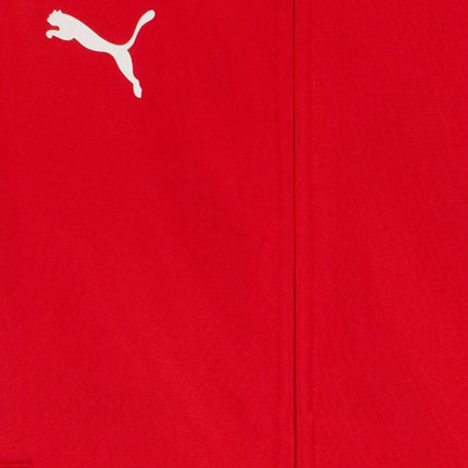 TUTA COMPLETA PUMA Team Rise Jr 658655-05