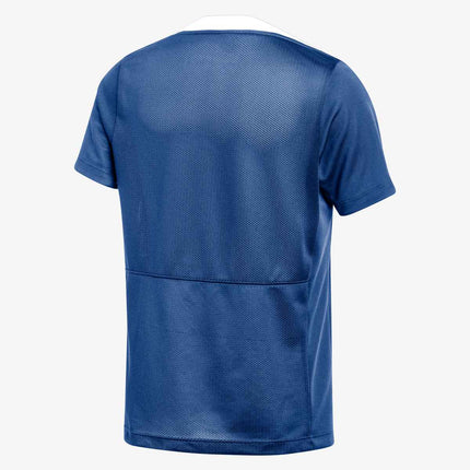 T-SHIRT DA CALCIO NIKE Dri-FIT Academy Pro 24 FD7597-465