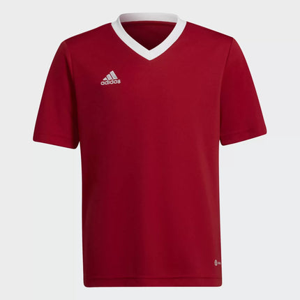 T-SHIRT ADIDAS ENTRADA 22 H57496