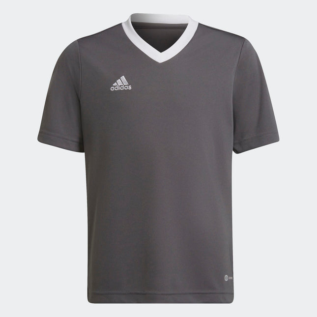 T-shirt Adidas ENT22 H57499