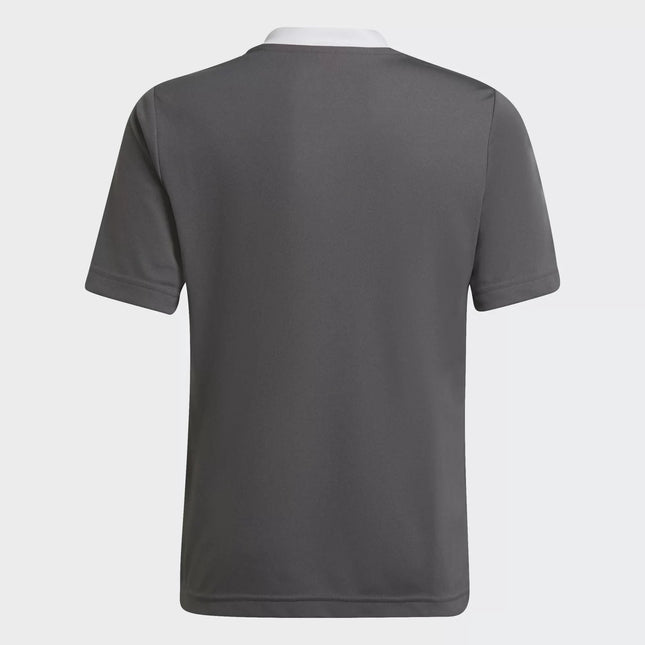 T-shirt sportiva adidas ENT22 uomo con logo Badge of Sport