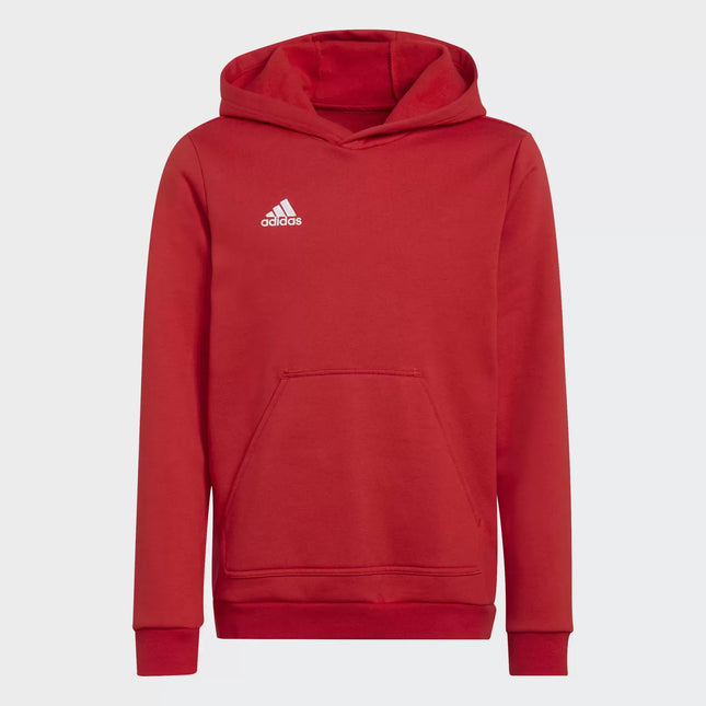 Felpa con cappuccio adidas Entrada 22 kids