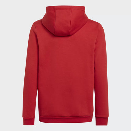 Felpa con cappuccio adidas Entrada 22 kids