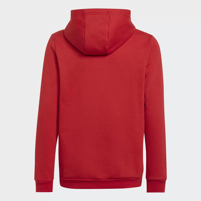 Felpa con cappuccio adidas Entrada 22 kids