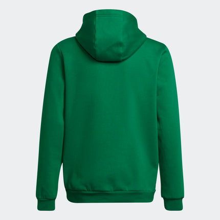 Felpa con cappuccio adidas Entrada 22 kids