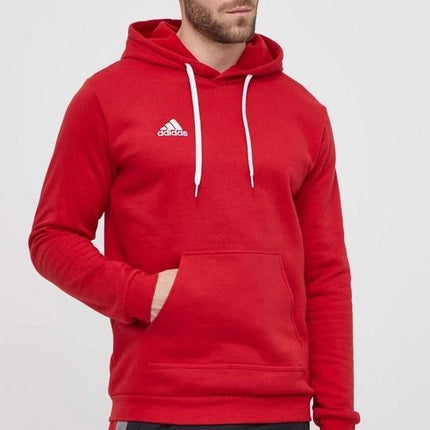 Felpa con cappuccio adidas Entrada 22 uomo