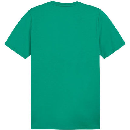 Puma Team Goal Casuals Tee 658615-05