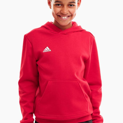 Felpa con cappuccio adidas Entrada 22 kids
