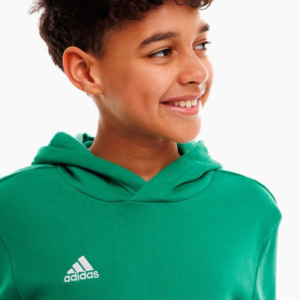 Felpa con cappuccio adidas Entrada 22 kids