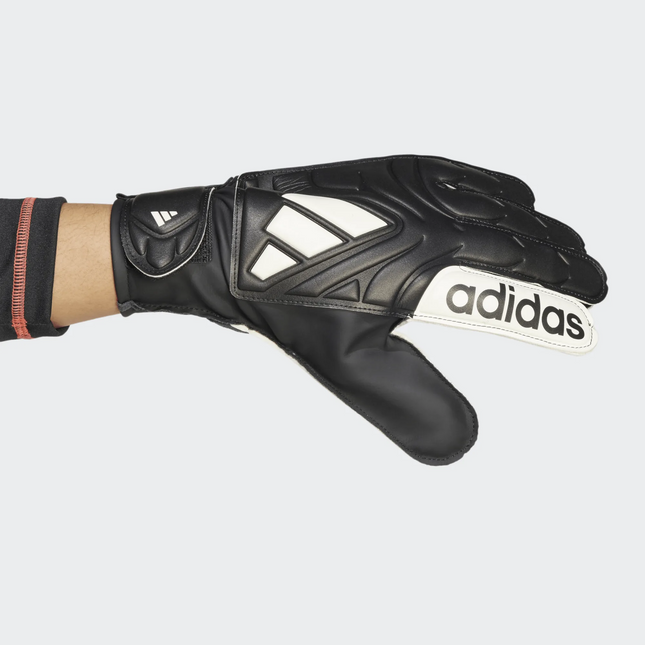 Guanti da portiere adidas Copa Club uomo