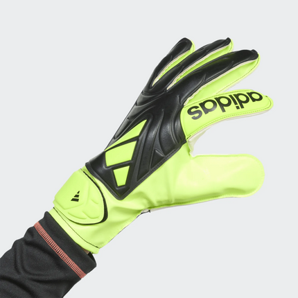 GUANTI DA PORTIERE ADIDAS COPA GL CLB JN5340